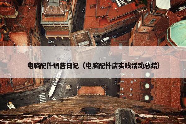 电脑配件销售日记（电脑配件店实践活动总结）