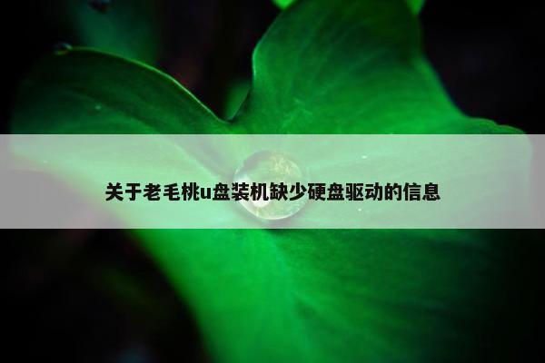 关于老毛桃u盘装机缺少硬盘驱动的信息