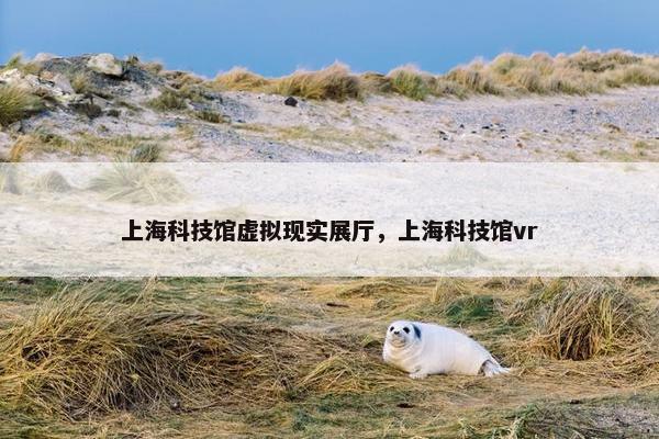 上海科技馆虚拟现实展厅，上海科技馆vr
