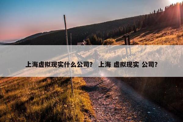 上海虚拟现实什么公司？ 上海 虚拟现实 公司？