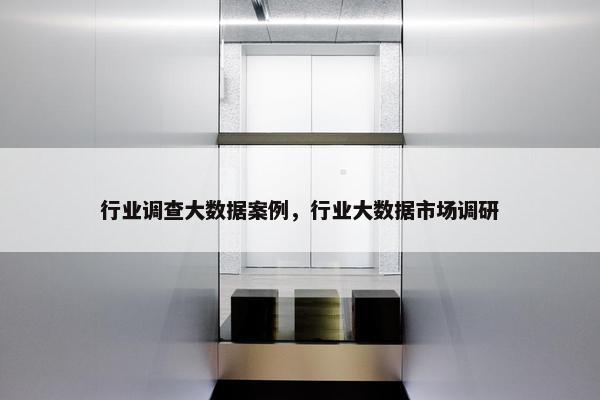 行业调查大数据案例，行业大数据市场调研