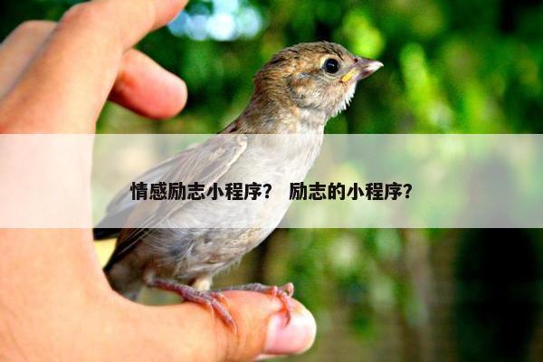 情感励志小程序？ 励志的小程序？