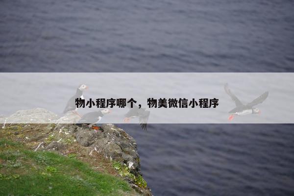 物小程序哪个，物美微信小程序