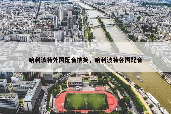 哈利波特外国配音搞笑，哈利波特各国配音
