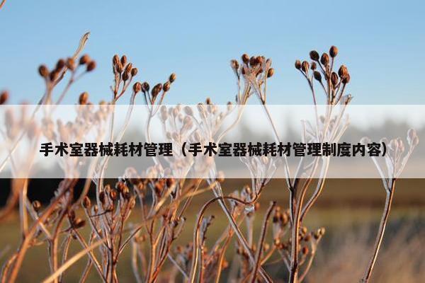 手术室器械耗材管理（手术室器械耗材管理制度内容）
