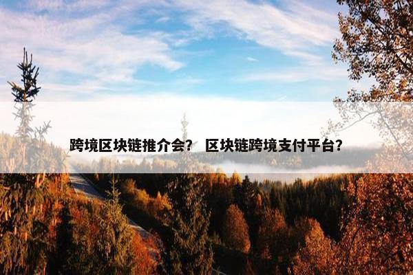 跨境区块链推介会？ 区块链跨境支付平台？