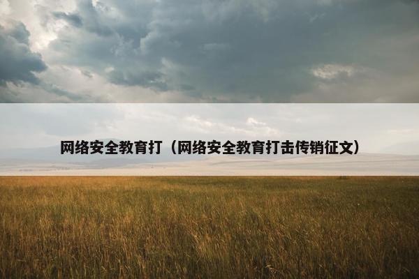 网络安全教育打（网络安全教育打击传销征文）
