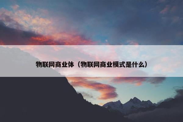 物联网商业体（物联网商业模式是什么）