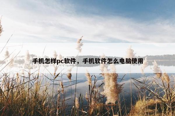 手机怎样pc软件，手机软件怎么电脑使用
