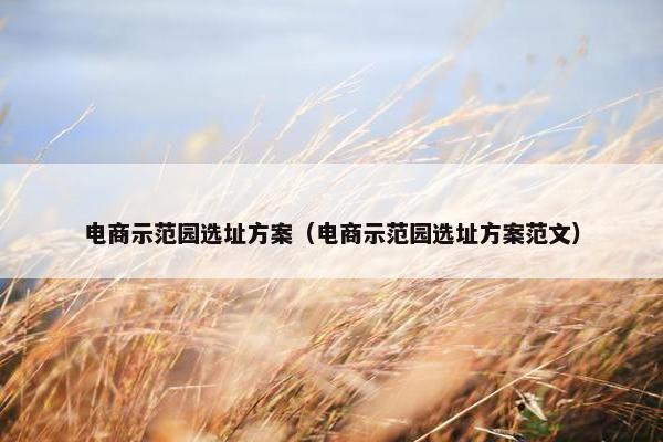 电商示范园选址方案（电商示范园选址方案范文）