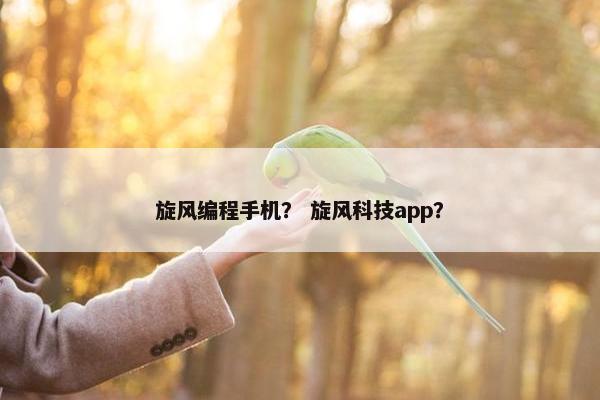 旋风编程手机？ 旋风科技app？
