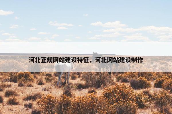 河北正规网站建设特征，河北网站建设制作