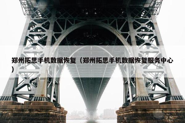 郑州拓思手机数据恢复（郑州拓思手机数据恢复服务中心）