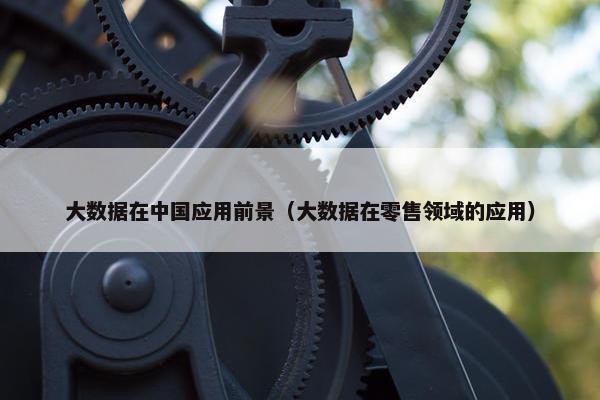 大数据在中国应用前景（大数据在零售领域的应用）