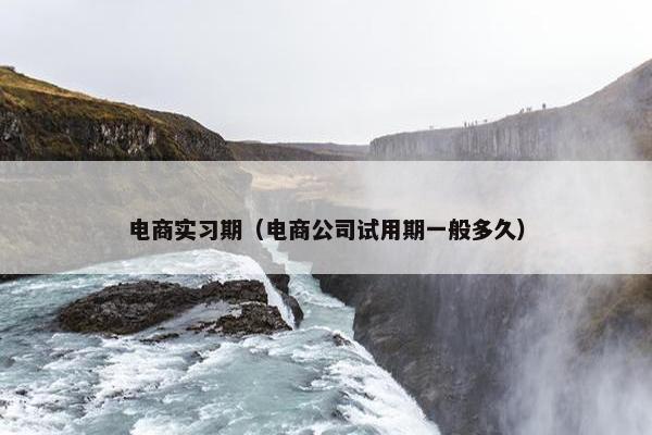 电商实习期（电商公司试用期一般多久）