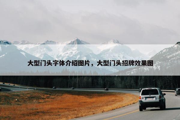 大型门头字体介绍图片，大型门头招牌效果图
