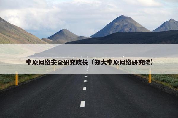中原网络安全研究院长（郑大中原网络研究院）
