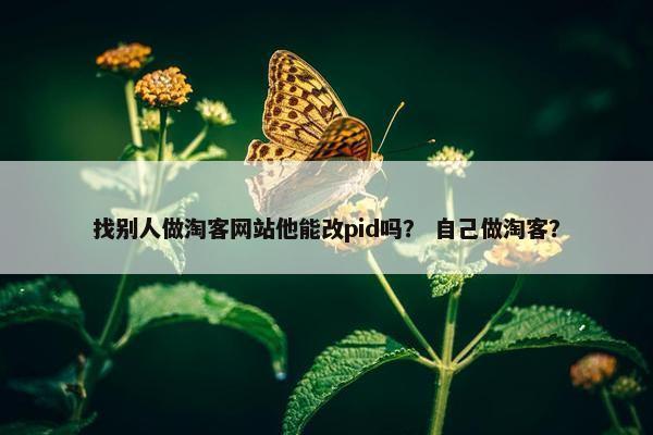 找别人做淘客网站他能改pid吗？ 自己做淘客？