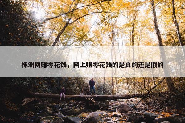 株洲网赚零花钱，网上赚零花钱的是真的还是假的