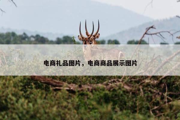 电商礼品图片，电商商品展示图片