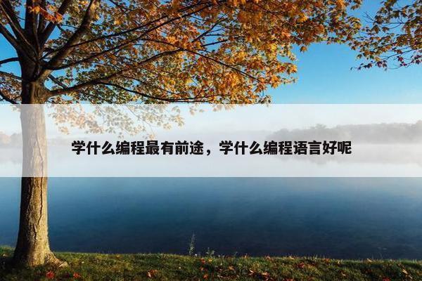 学什么编程最有前途，学什么编程语言好呢