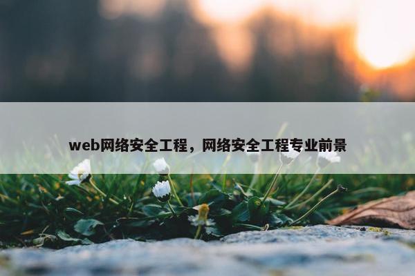 web网络安全工程，网络安全工程专业前景