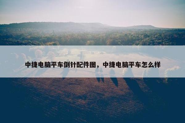 中捷电脑平车倒针配件图，中捷电脑平车怎么样