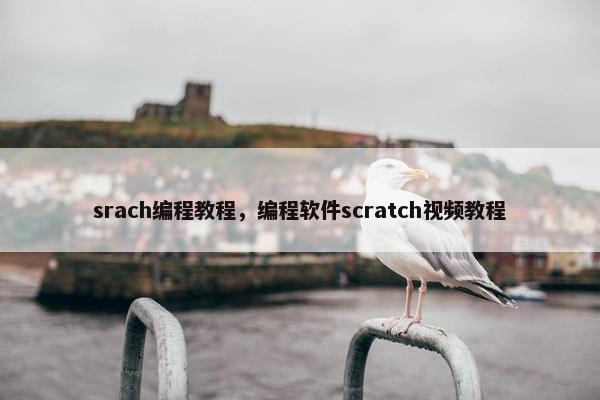 srach编程教程，编程软件scratch视频教程