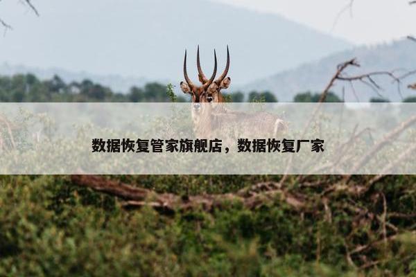 数据恢复管家旗舰店，数据恢复厂家