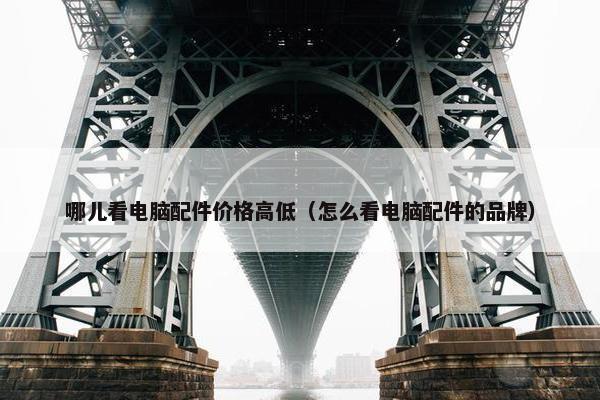 哪儿看电脑配件价格高低（怎么看电脑配件的品牌）