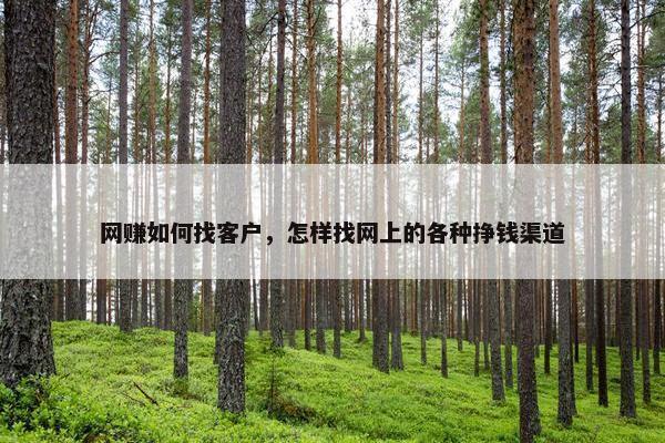 网赚如何找客户，怎样找网上的各种挣钱渠道
