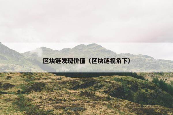 区块链发现价值（区块链视角下）