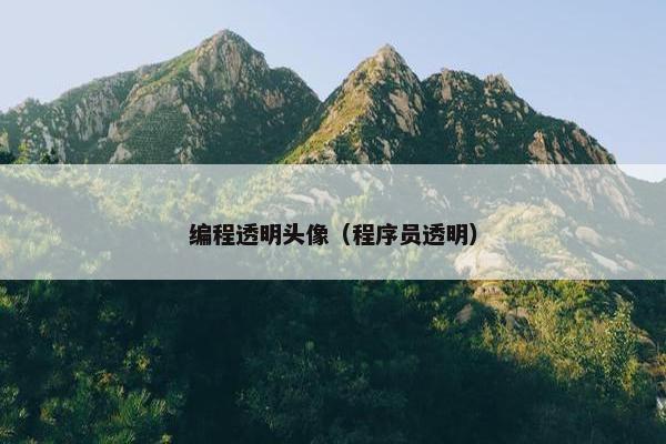 编程透明头像（程序员透明）