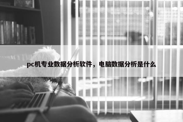 pc机专业数据分析软件，电脑数据分析是什么