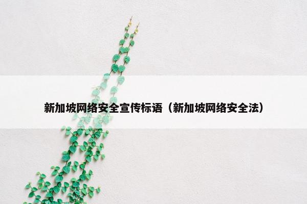 新加坡网络安全宣传标语（新加坡网络安全法）