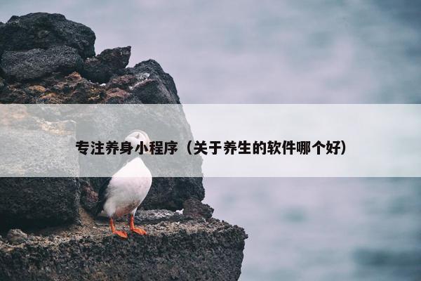 专注养身小程序（关于养生的软件哪个好）
