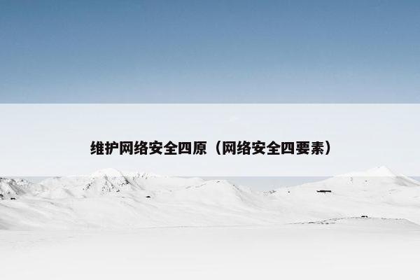 维护网络安全四原（网络安全四要素）