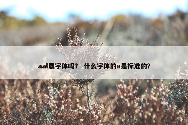 aal属字体吗？ 什么字体的a是标准的？
