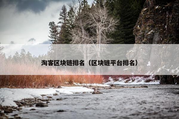 淘客区块链排名（区块链平台排名）