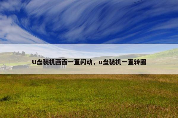 U盘装机画面一直闪动，u盘装机一直转圈