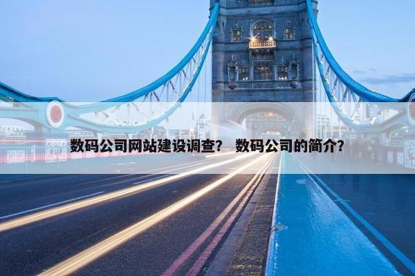 数码公司网站建设调查？ 数码公司的简介？