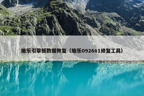 施乐引擎板数据恢复（施乐092661修复工具）