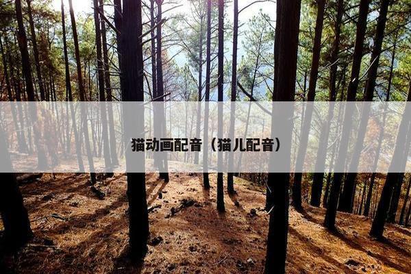 猫动画配音（猫儿配音）