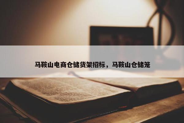 马鞍山电商仓储货架招标，马鞍山仓储笼