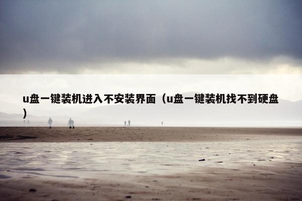 u盘一键装机进入不安装界面（u盘一键装机找不到硬盘）