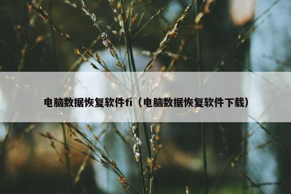 电脑数据恢复软件fi（电脑数据恢复软件下载）