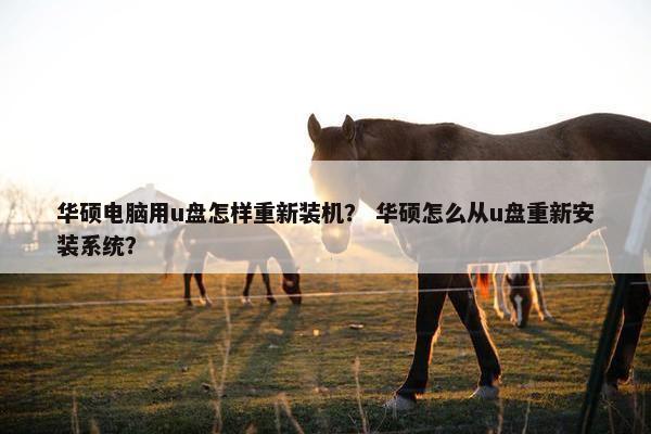 华硕电脑用u盘怎样重新装机？ 华硕怎么从u盘重新安装系统？