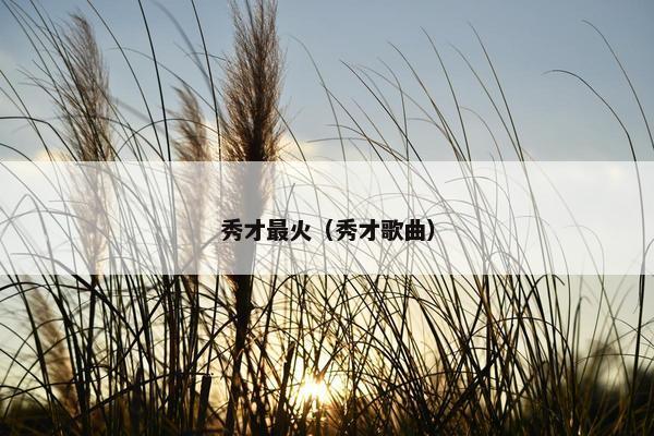 秀才最火（秀才歌曲）
