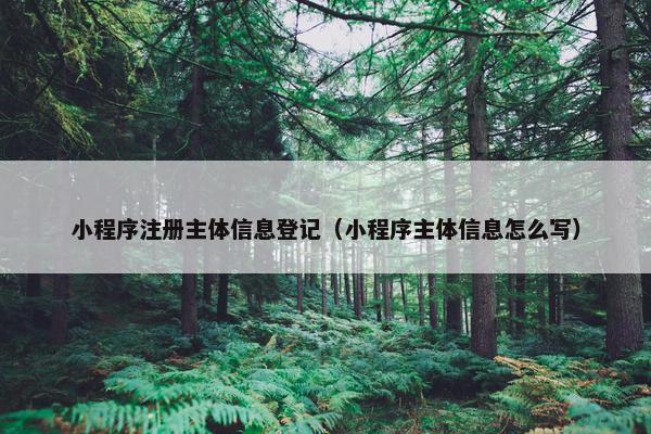 小程序注册主体信息登记（小程序主体信息怎么写）