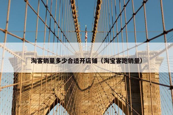 淘客销量多少合适开店铺（淘宝客跑销量）